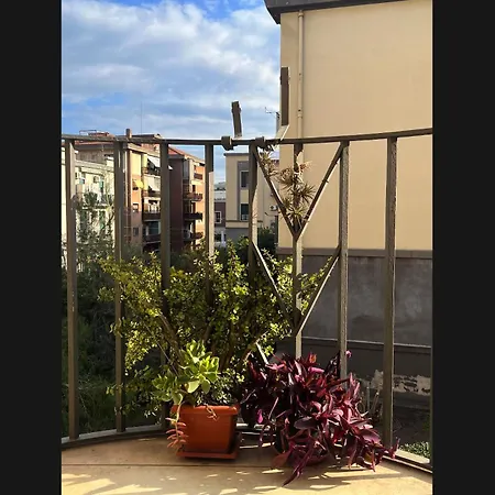 Deodato בית הארחה קטאניה