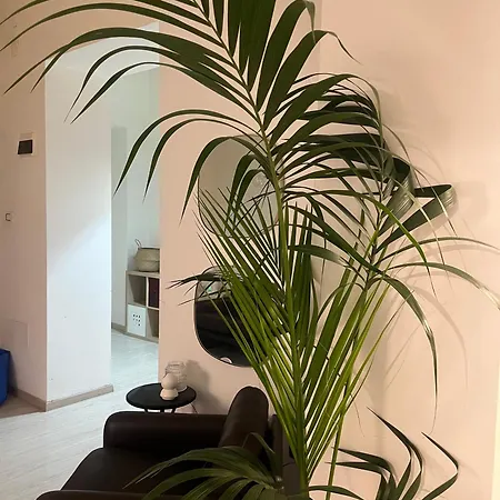 Deodato בית הארחה קטאניה