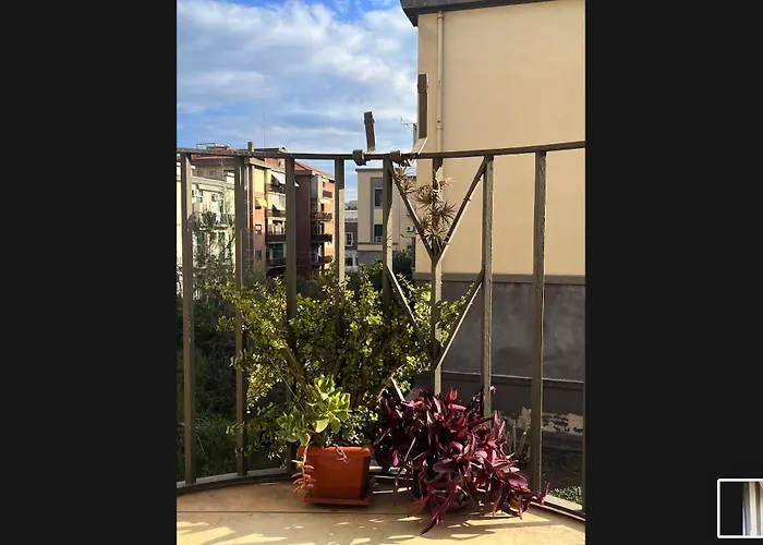 Deodato Πανσιόν Κατάνια